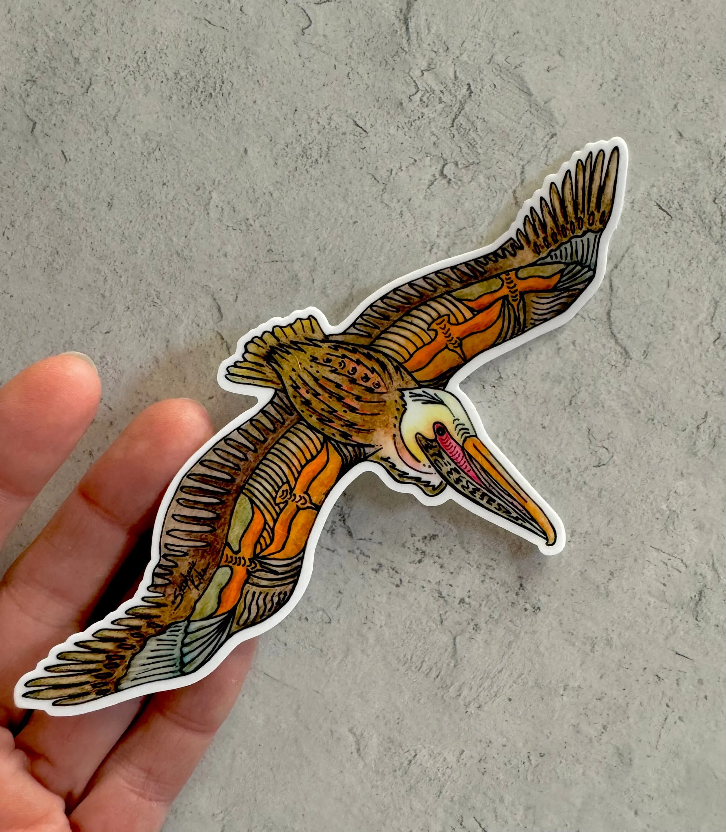 Flying Pelican Sticker