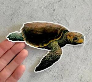 Loggerhead Turtle Sticker